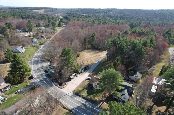 3624 State Route 55, Kauneonga Lake, NY 12720