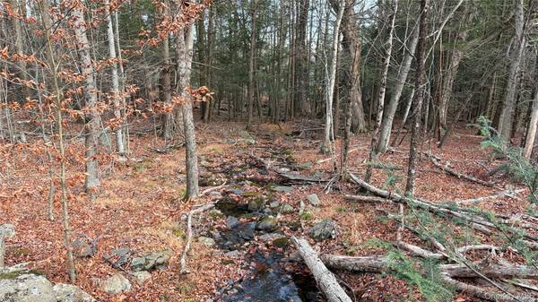X Aldrich RD, Wurtsboro, NY 12790