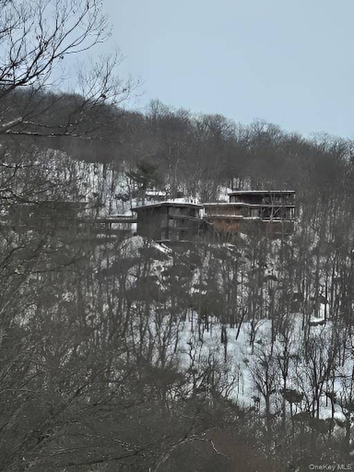 60 Woods RD, Tuxedo Park, NY 10987