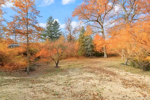 Ladd RD, Bronx, NY 10471
