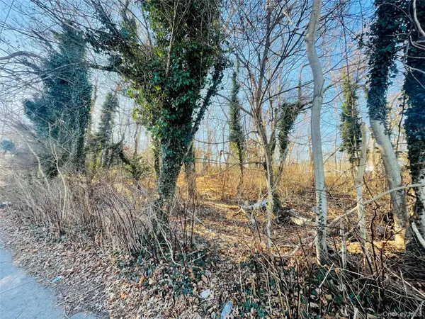 VL Meadowmere AVE, Mastic, NY 11950