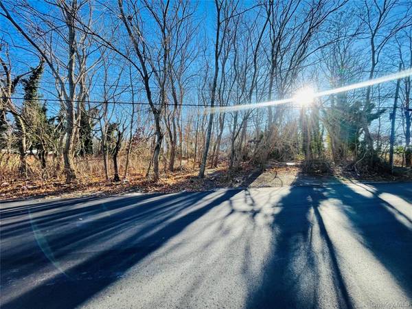 VL Meadowmere AVE, Mastic, NY 11950