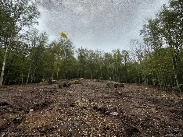 Lot 1.6 Foster (South) TRL, Narrowsburg, NY 12764