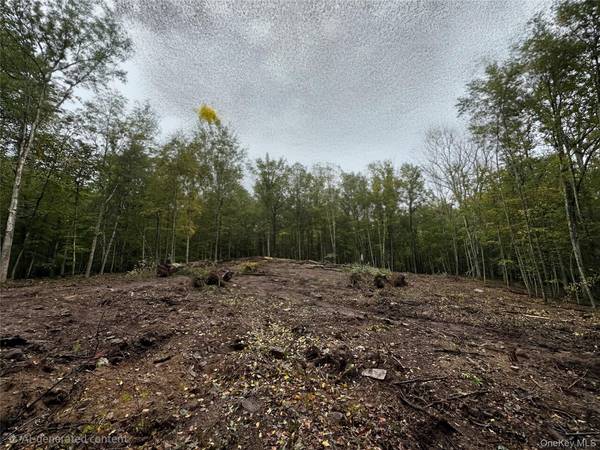 Lot 1.6 Foster (South) TRL, Narrowsburg, NY 12764