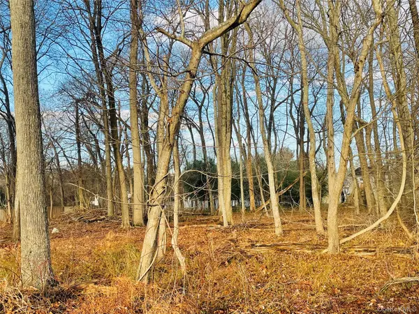 VL Daniel LN, Middle Island, NY 11953