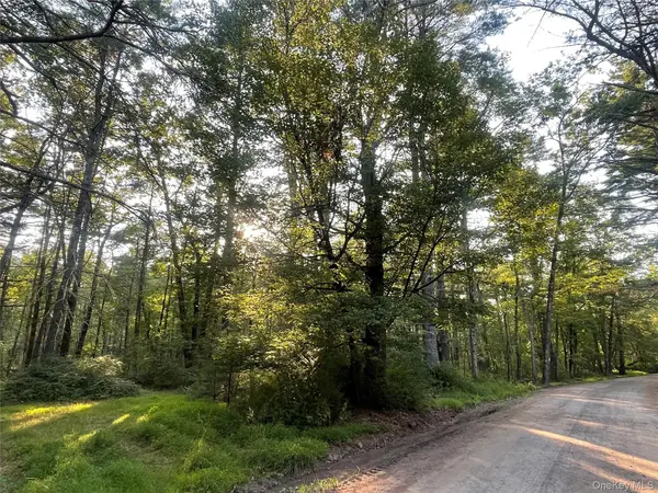 Loch Ada RD, Barryville, NY 12737