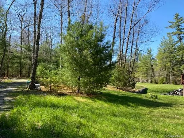 592 Proctor RD, Glen Spey, NY 12737
