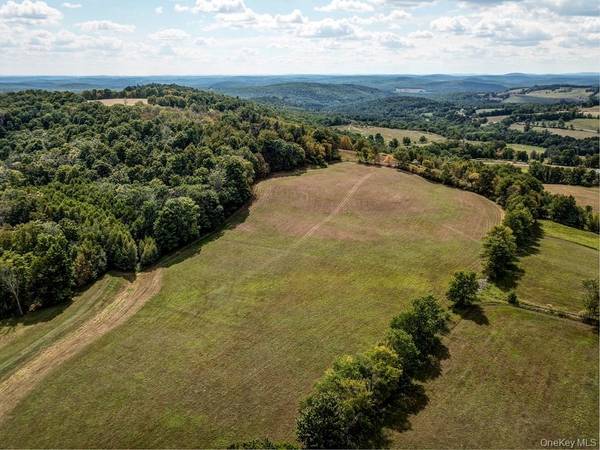 04 Bauernfiend RD, Callicoon, NY 12723