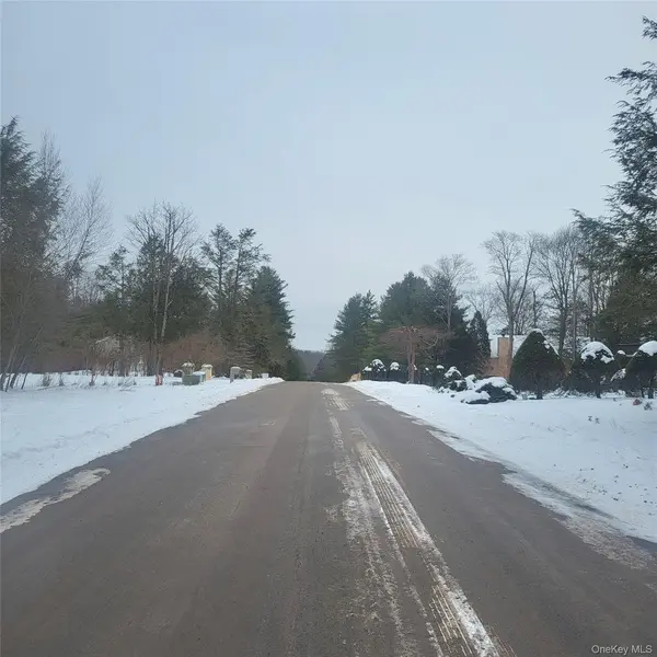 000 Roslyn Ridge RD, Mongaup Valley, NY 12720