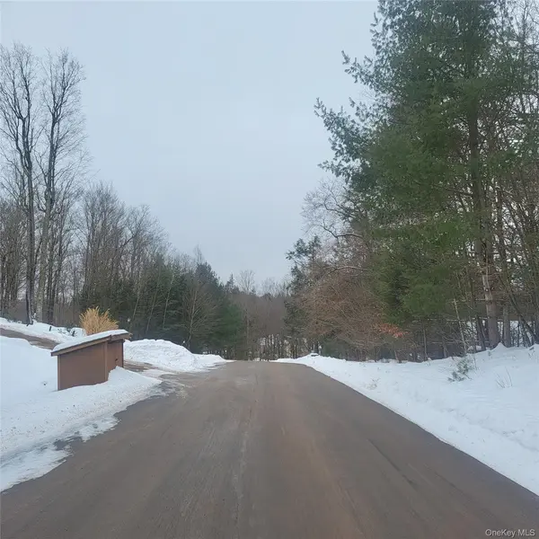 000 Roslyn Ridge RD, Mongaup Valley, NY 12720