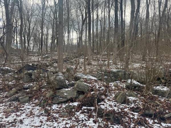 Lot 3 Eder RD, Stormville, NY 12582