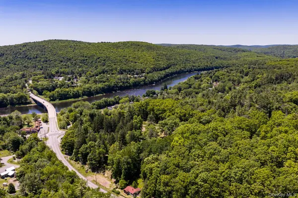 Lot  11.1 State Route 55 and Mail Road, Barryville, NY 12719