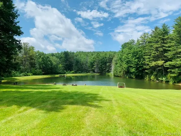 1837 Rich RD, Franklin, NY 13820