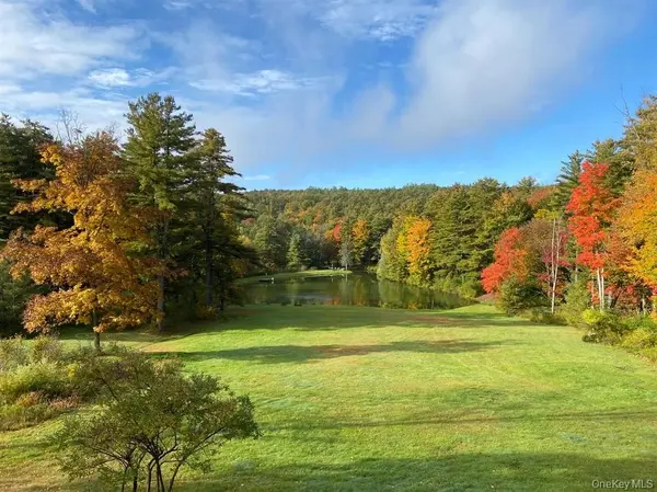 1837 Rich RD, Franklin, NY 13820