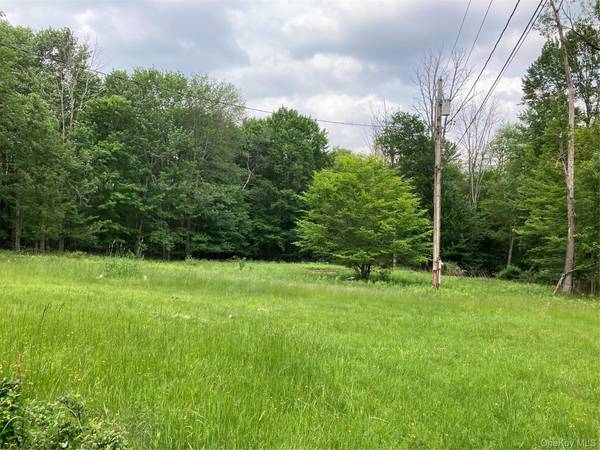 699 Budd RD, Woodbourne, NY 12788