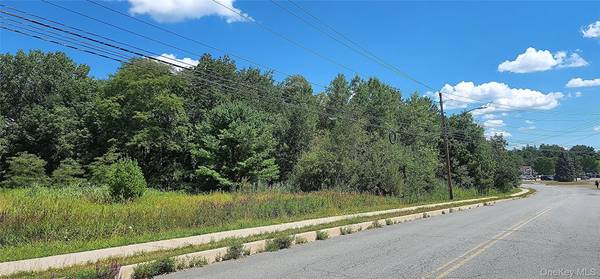 00 Sturgis RD, Monticello, NY 12701