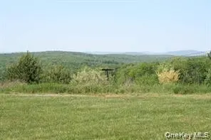 MEADOWLARK RD, Fallsburg, NY 12733