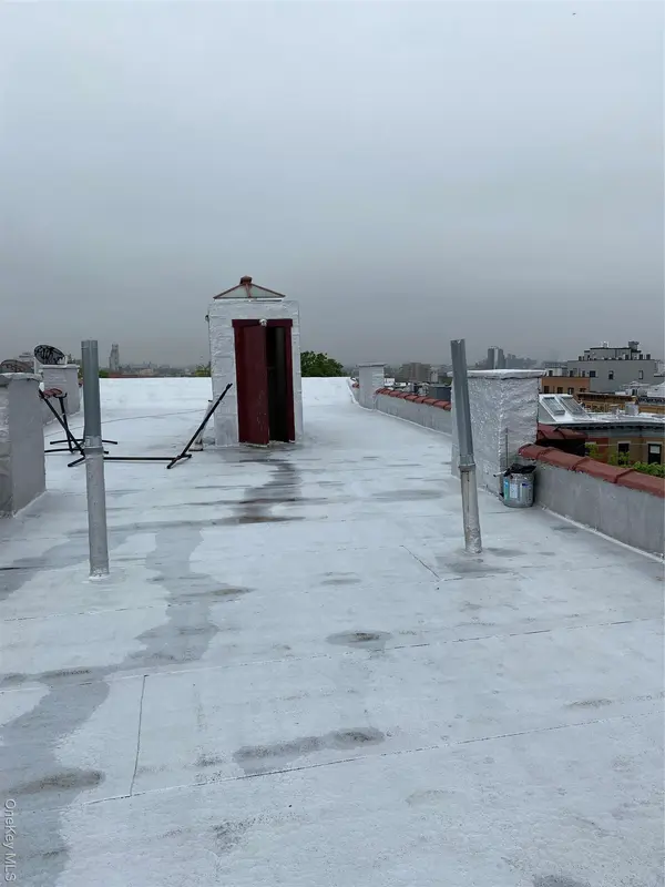 253 Saint Nicholas AVE, Brooklyn, NY 11237