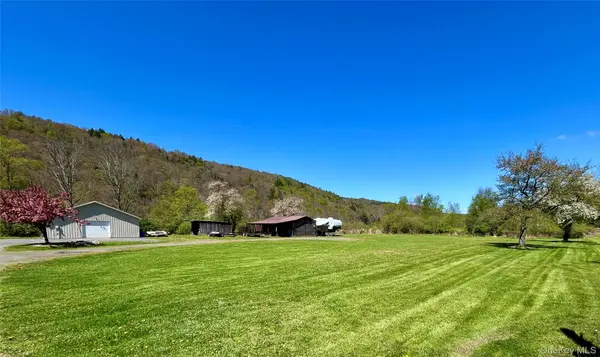 290 Gulf RD, Roscoe, NY 12776