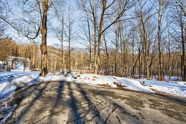 TBD Hicks Hill RD, Pine Plains, NY 12401