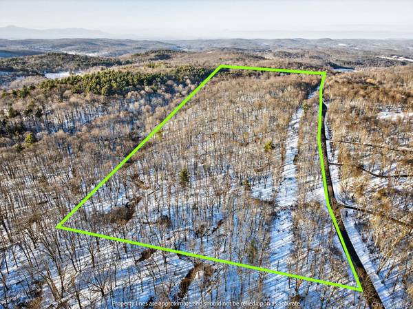 TBD Hicks Hill RD, Pine Plains, NY 12401