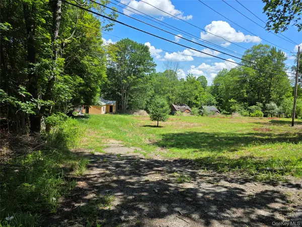 1094 Old Route 17, Harris, NY 12742