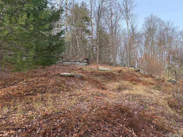 Hilltop RD, Monticello, NY 12701