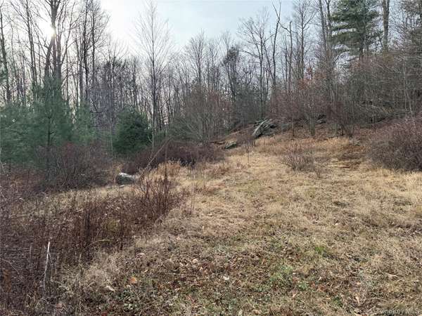 Hilltop RD, Monticello, NY 12701