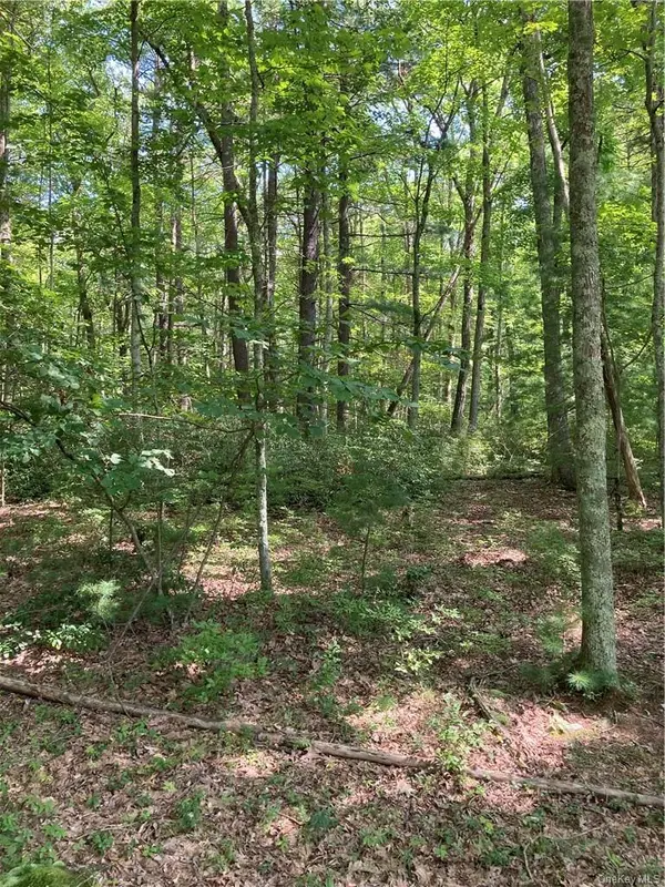 Allen RD, Wurtsboro, NY 12790