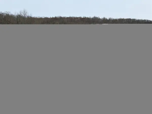 790 Oak, East Branch, NY 13783