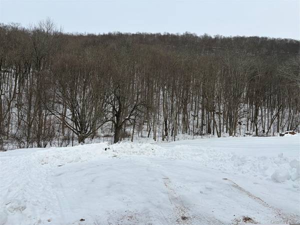 790 Oak, East Branch, NY 13783