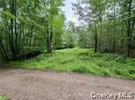 790 Oak, East Branch, NY 13783