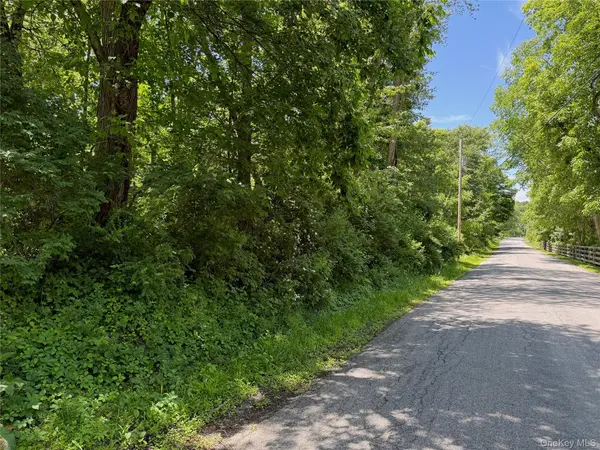 Schoolhouse RD, Staatsburg, NY 12580
