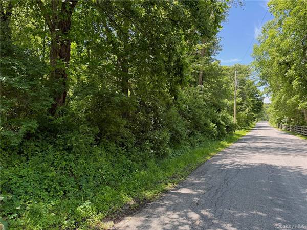 Schoolhouse RD, Staatsburg, NY 12580