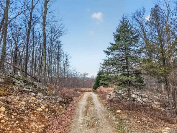 545 Grape Hollow RD, Holmes, NY 12531