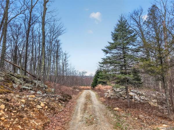 545 Grape Hollow RD, Holmes, NY 12531