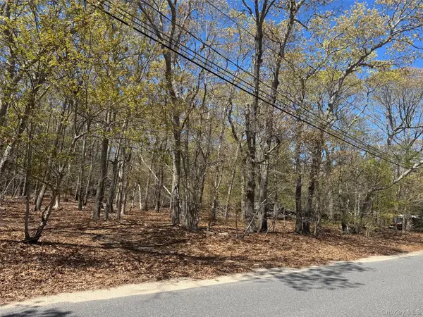 725 Youngs AVE, Mattituck, NY 11952