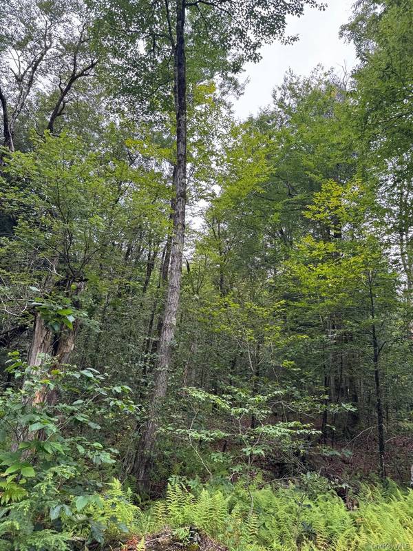 00 Starlight RD, Monticello, NY 12701