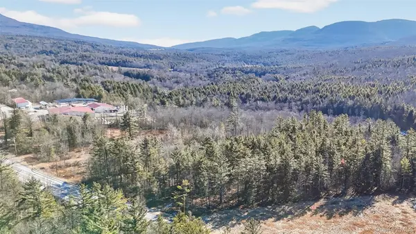 6769 Rt-23A, Tannersville, NY 12442