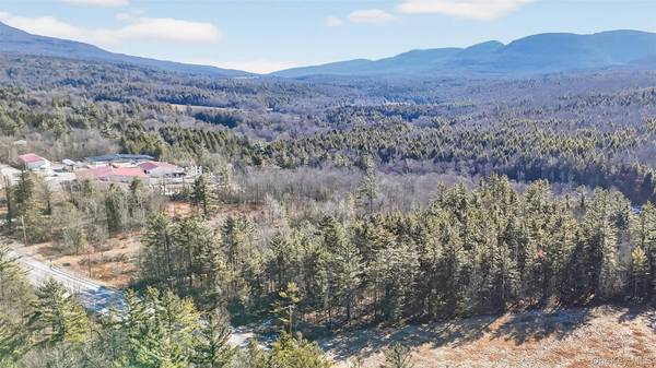 6769 Rt-23A, Tannersville, NY 12442