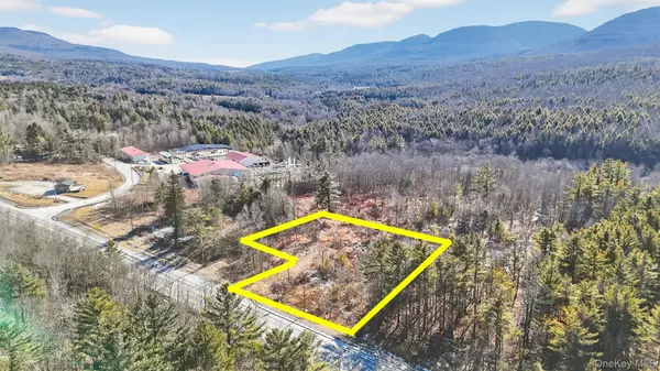 6769 Rt-23A, Tannersville, NY 12442