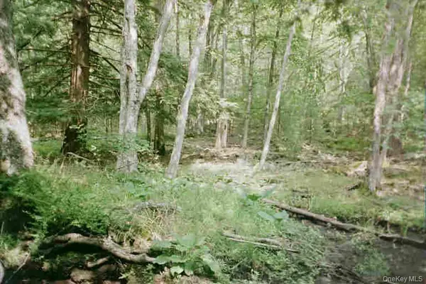 Lot 59.2 Lower Lumber RD, Glen Spey, NY 12737