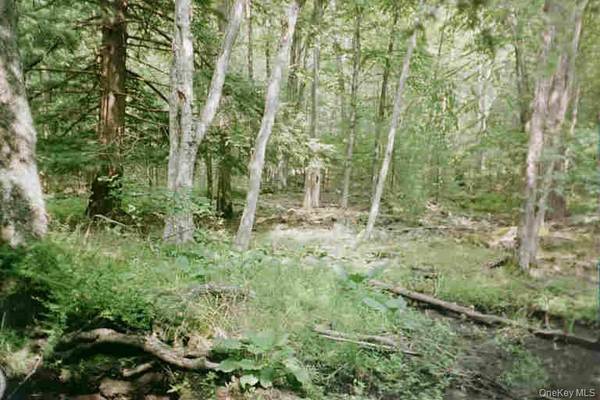 Lot 59.2 Lower Lumber RD, Glen Spey, NY 12737