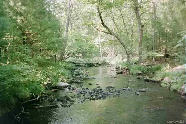 Lot 59.2 Lower Lumber RD, Glen Spey, NY 12737