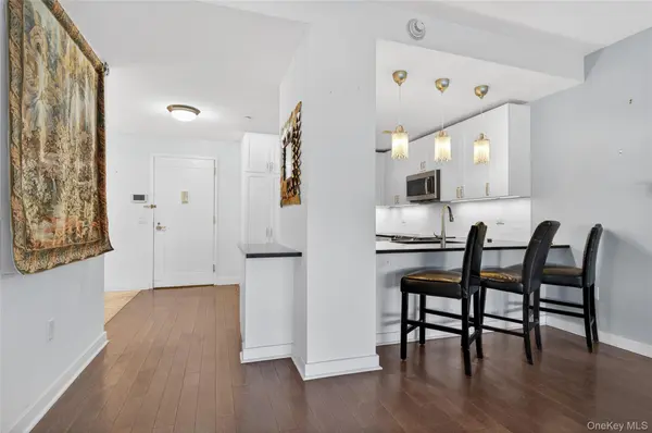 433 Main ST #103, Port Washington, NY 11050