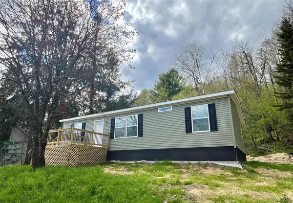317 Debruce RD, Livingston Manor, NY 12758