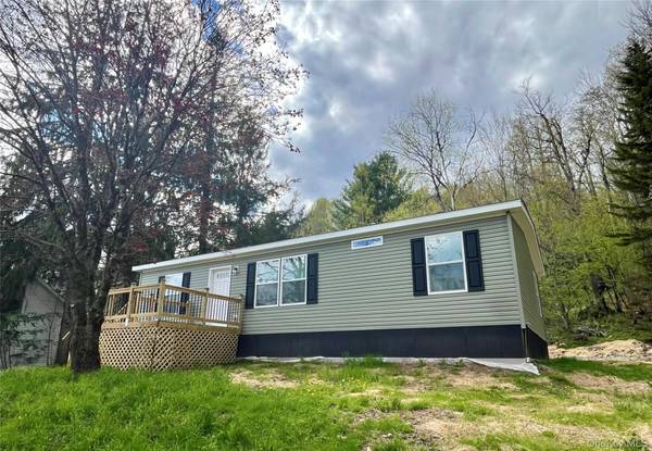 317 Debruce RD, Livingston Manor, NY 12758