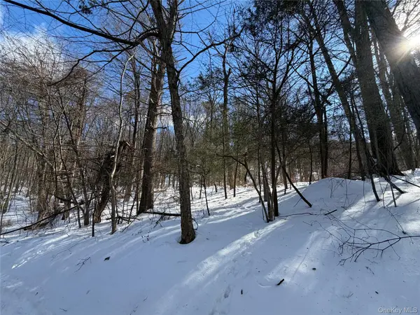 Saw Mill RD, Putnam Valley, NY 10579