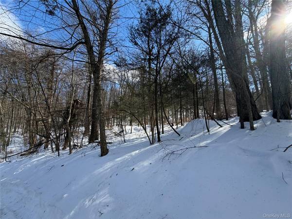 Saw Mill RD, Putnam Valley, NY 10579