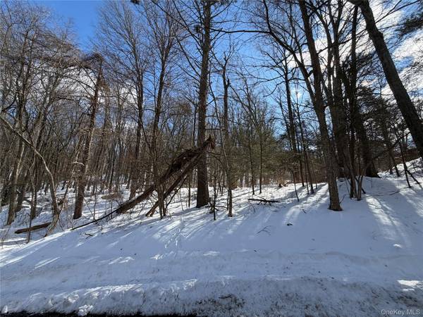 Saw Mill RD, Putnam Valley, NY 10579